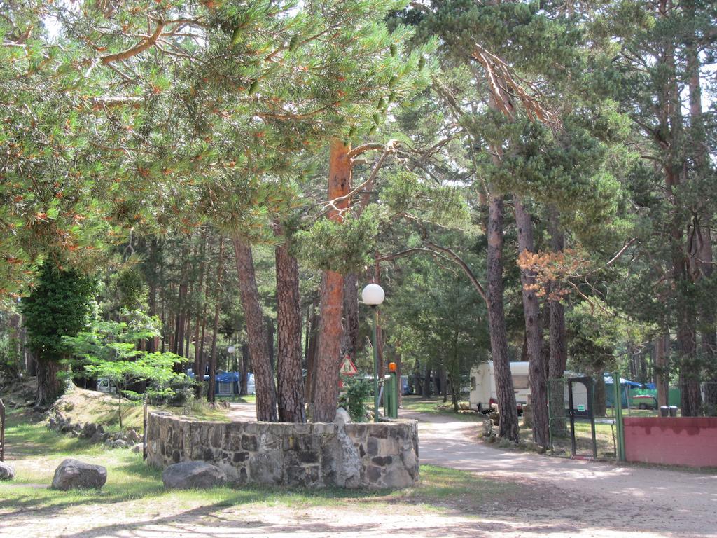 Camping Cobijo Vinuesa Exterior photo